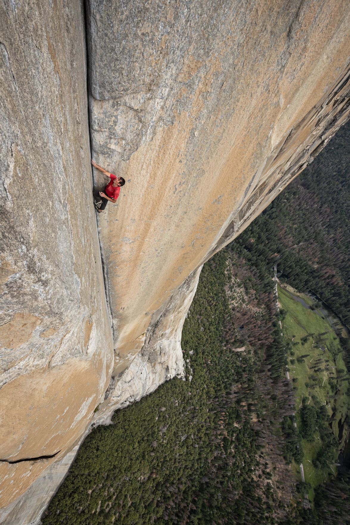'Free Solo' up for an Oscar